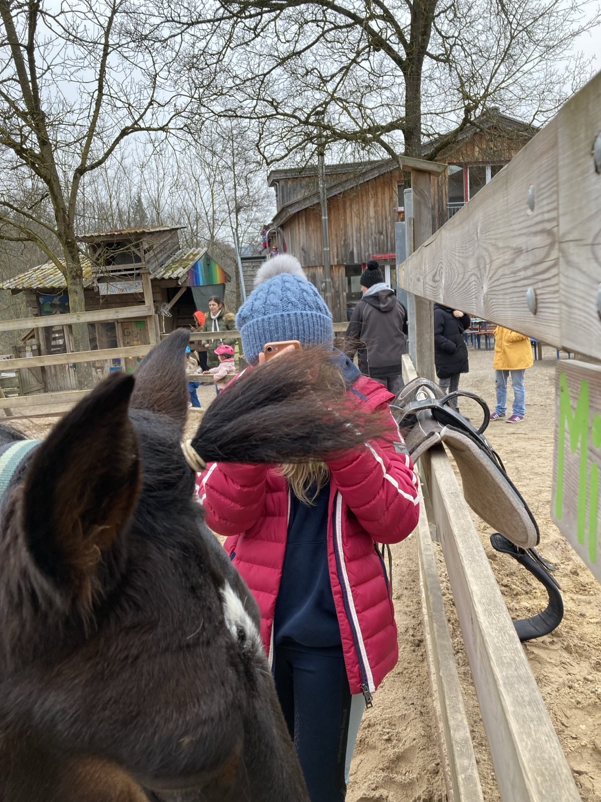 Pferd und Mädchen